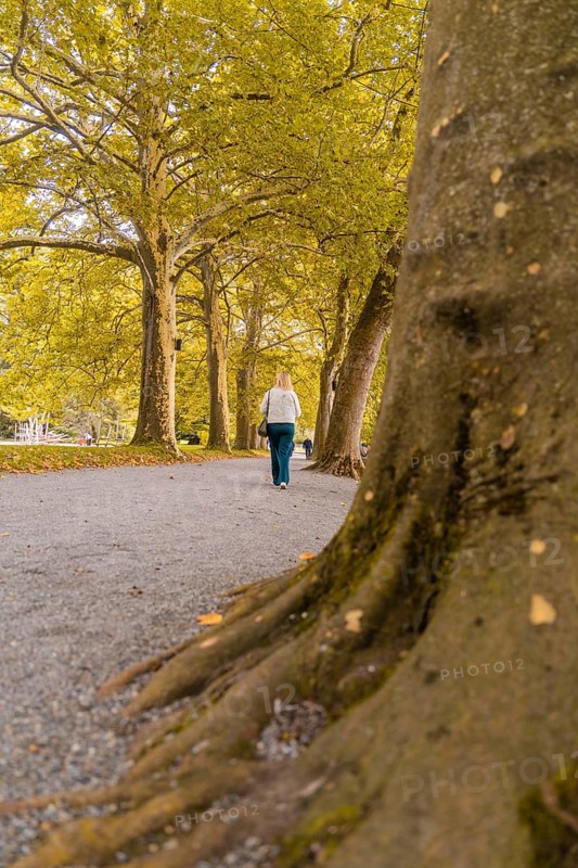 Woman in autumnal surroundings walking alone on a path, Mainau Island, Lake Constance, Germany