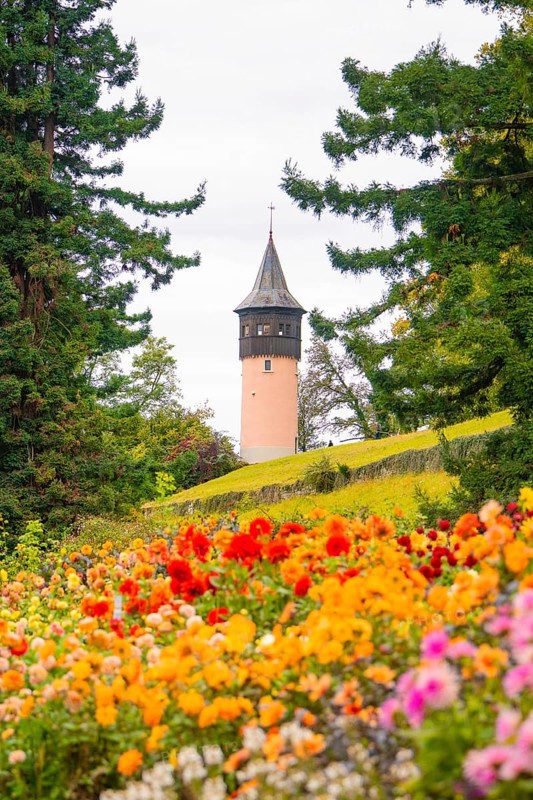 Park with colourful flowers and view of a tower between trees, Mainau flower island, Lake Constance, Germany