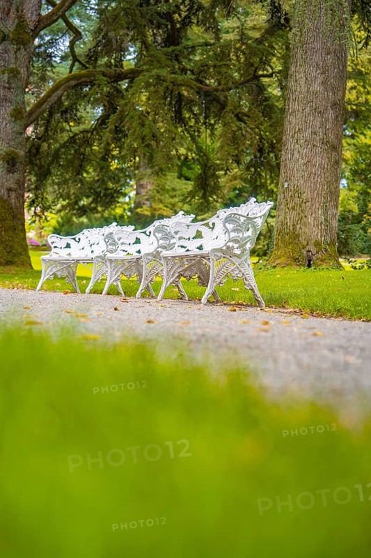 Quiet scenery with white benches in a park, Mainau flower island, Lake Constance, Germany