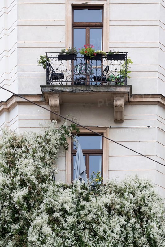Art Nouveau facade, window, balcony, vegetation, Neustadt, Dresden, Saxony, Germany