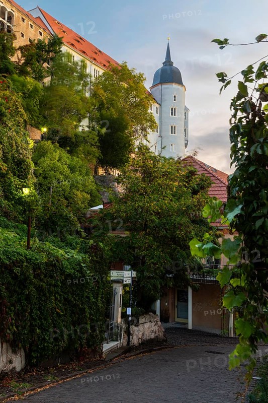 Blue Tower of Albretsburg Castle, alley, trees, old town, Meissen, Saxony, Germany