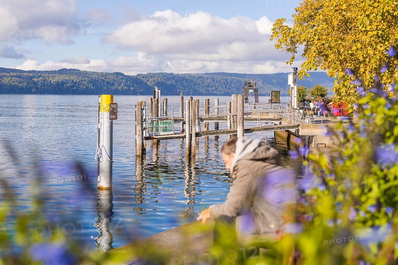 Landing stage at a lake with flowers and people enjoying the autumn atmosphere, Überlingen, Lake Constance, Germany