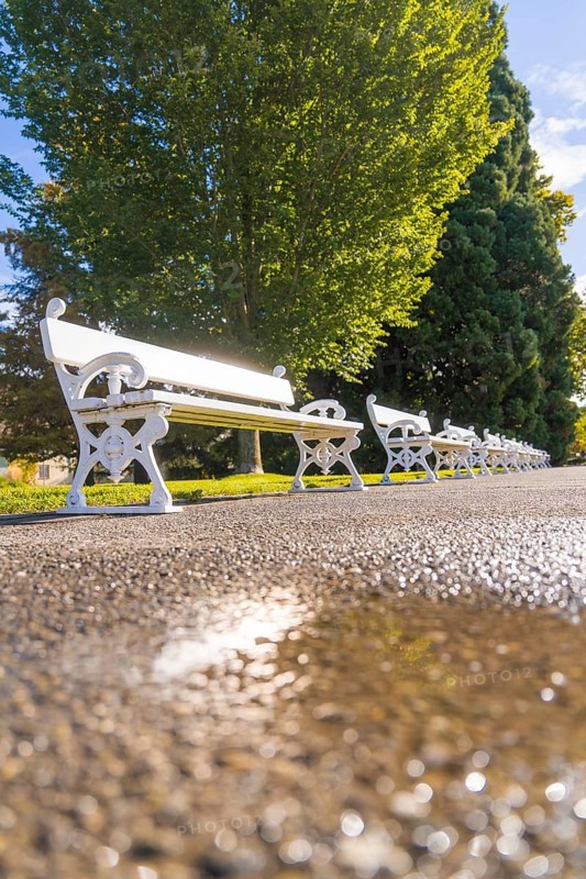 White benches in an avenue, with bright sun in the background, quiet atmosphere, Überlingen, Lake Constance, Germany