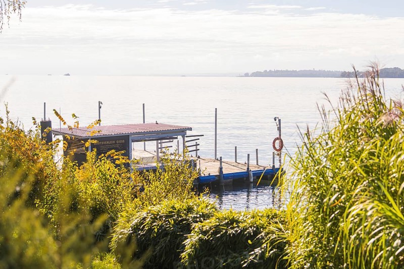 A jetty juts out into a calm lake, surrounded by lush greenery and bathed in warm sunlight, Überlingen, Lake Constance, Germany