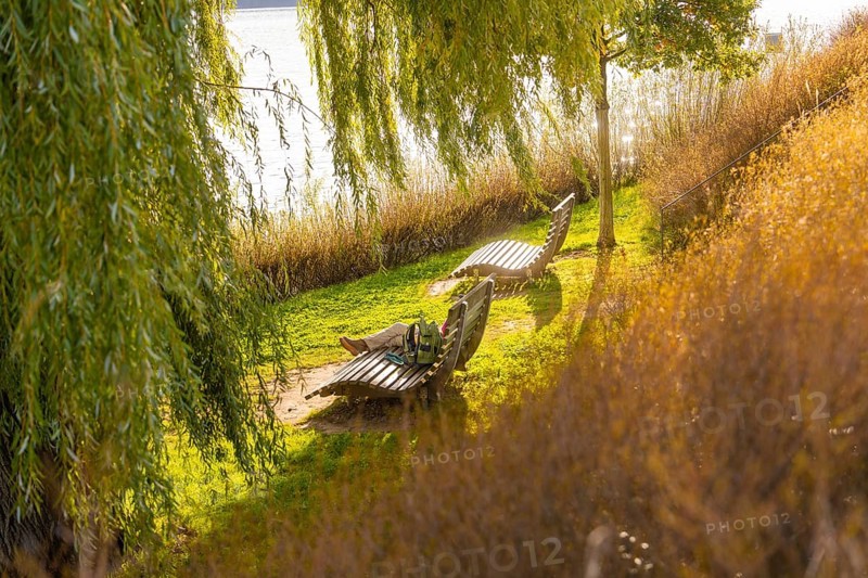 Quiet scene with deckchairs on a sunny riverbank under trees, Überlingen, Lake Constance, Germany