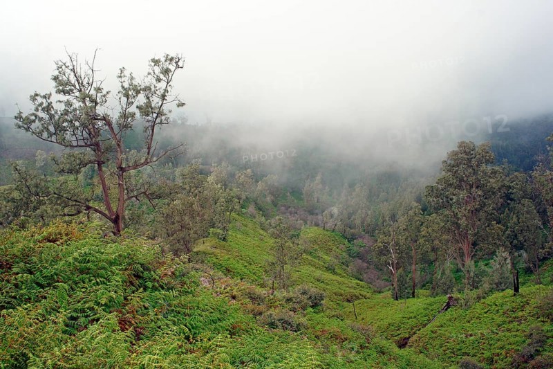 Landscape volcano Ijen, Indonesia