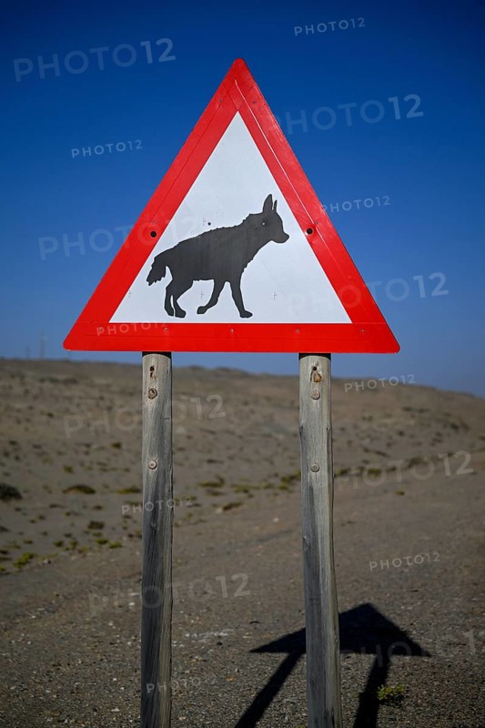 Sign warning of brown hyenas or beach wolves (Parahyaena brunnea) near Lüderitz, Karas Region, Namibia