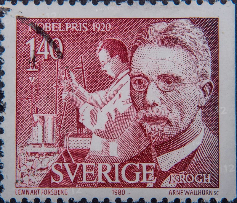 August Steenberg Krogh (1874-1949) was a Danish zoophysiologist. He received the Nobel Prize in Physiology or Medicine in 1920. Portrait on a Swedish stamp