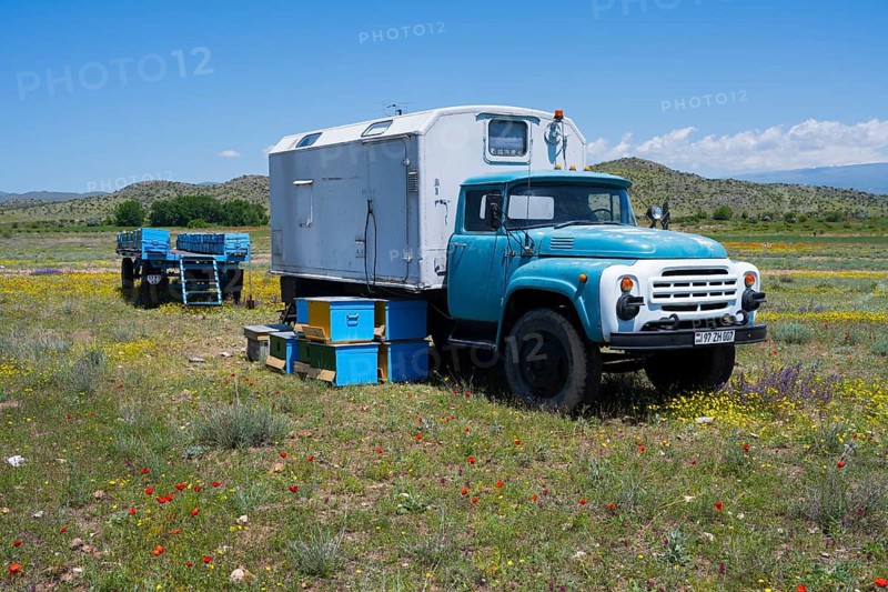 A blue truck stands next to colourful beehives in a vast, blooming landscape, beekeeper, near Karakert, Armavir province, Armenia