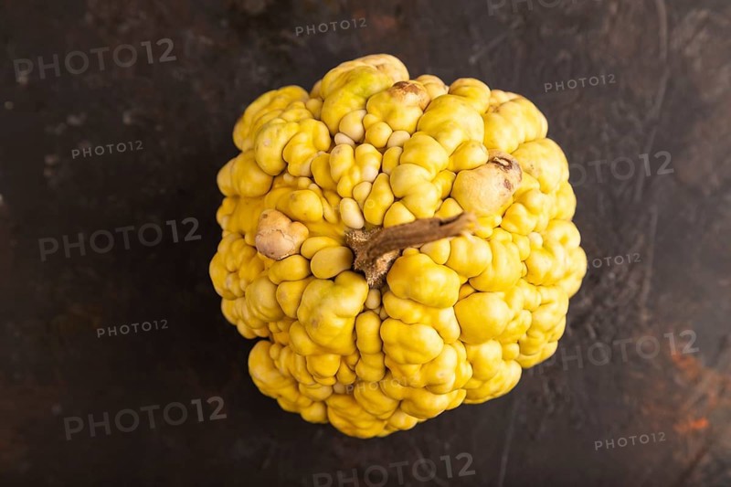Decorative orange Pumpkin with tumors on black concrete background, top view, flat lay, close up, minimalism