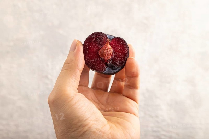 Purple Plum Cut in half with hand on gray concrete background. Side view, close up. healthy food, vegetable, minimalism