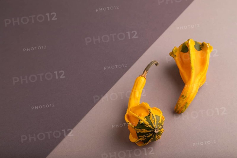 Two decorative orange Pumpkins on beige and gray pastel paper background, side view, copy space, minimalism