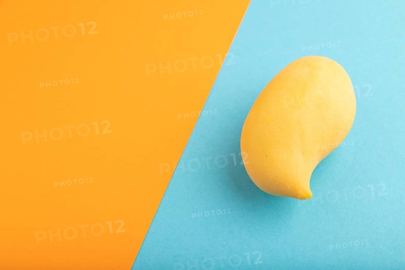 Orange mango on orange and blue paper pastel background. Side view, copy space. healthy food, minimalism