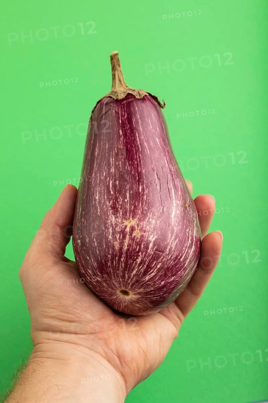 Hand holding Purple eggplant with white stripes on green pastel background. Top view, flat lay, copy space. Tropical, healthy food, vegetable, minimalism