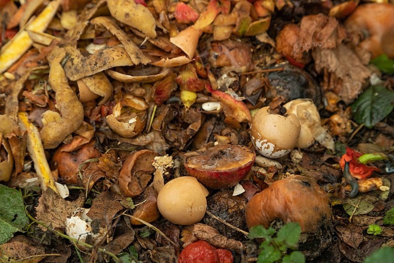 Compost pile made of organic food, leaves, vegetable and fruit Waste mix, Zero waste and Eco friendly Recycling concept