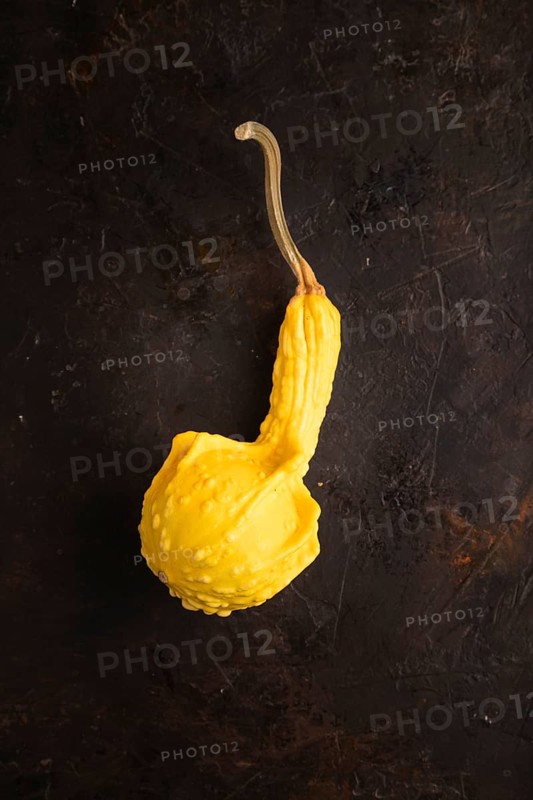 Decorative orange Pumpkin on black concrete background, top view, flat lay, copy space, minimalism, low key