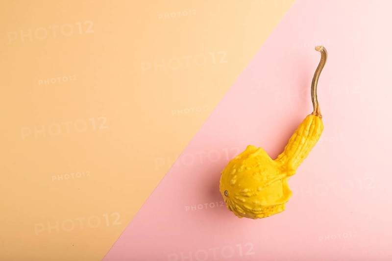 Decorative orange Pumpkin on pink and orange pastel paper background, top view, flat lay, copy space, minimalism