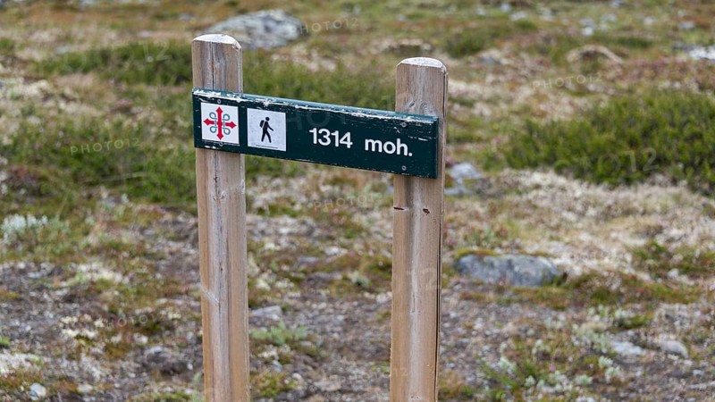 Signpost with altitude and Olav's Cross, highest point of the Pilgrims' Trail, Kongevegen or King's Road, Olav's Way or Olavsleden, ascent to Dovrefjell, Oppdal municipality, Trøndelag county, Norway