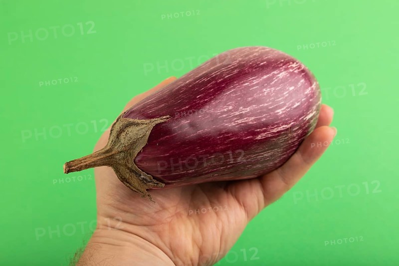 Hand holding Purple eggplant with white stripes on green pastel background. Top view, flat lay, copy space. Tropical, healthy food, vegetable, minimalism