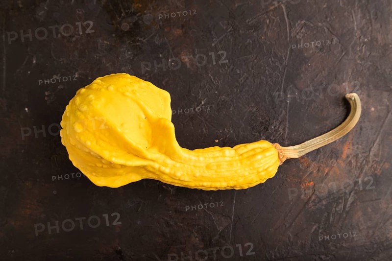 Decorative orange Pumpkin on black concrete background, top view, flat lay, close up, minimalism