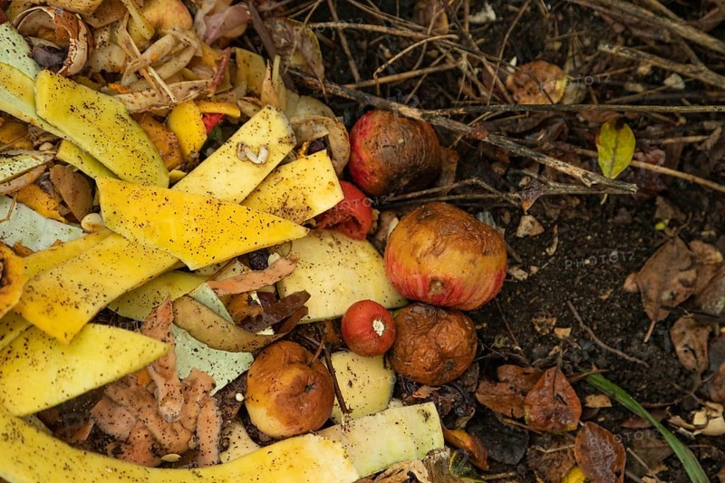 Compost pile made of organic food, leaves, vegetable and fruit Waste mix, Zero waste and Eco friendly Recycling concept