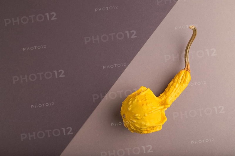 Decorative orange Pumpkin on beige and gray pastel paper background, top view, flat lay, copy space, minimalism