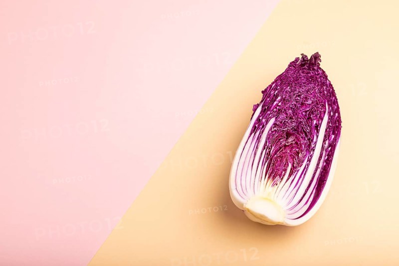 Purple Chinese cabbage on pink and orange pastel paper background, side view, copy space, minimalism