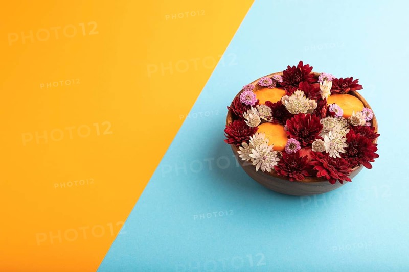Wooden bowl with carrot slices and red Chrysanthemum flowers, Astrantia flowers, flower salad on blue and orange pastel paper background, side view, copy space, minimalism