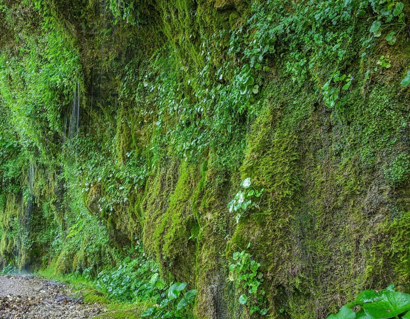 Naturschauspiel Rinnende Mauer am Steyr Fluss, Molln, Oberösterreich, Österreich