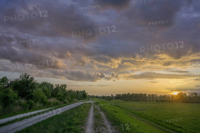 Sonnenuntergangsstimmung beim Damm, Infozentrum Isarmündung, Moos, Bayern, Deutschland