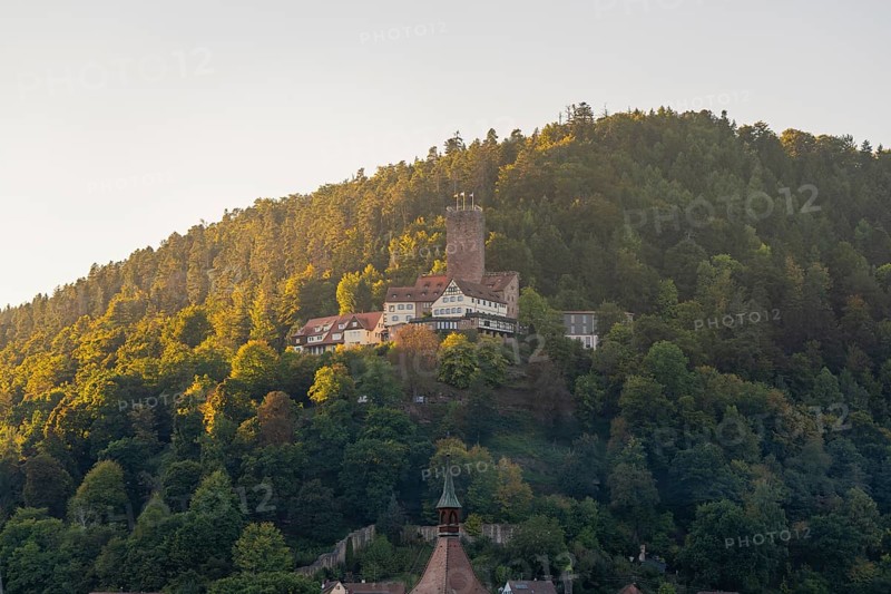 Burg auf einem mit Wald bedeckten Hügel, umgeben von herbstlichen Farben im Sonnenlicht, Bad Liebenzell, Schwarzwald, Deutschland