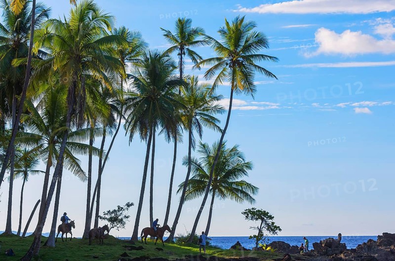 Horseback riding on beach, Drake Bay, Corcovado National Park, Osa Peninsula, Costa Rica