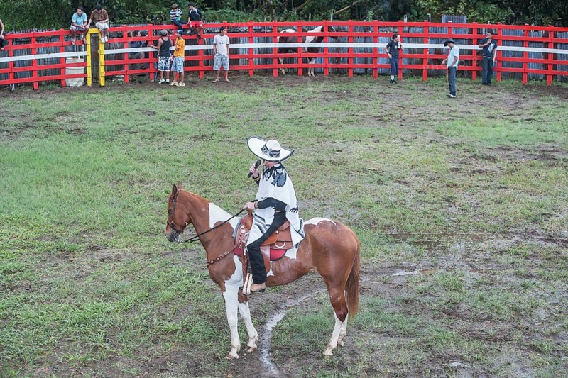 Rodeo, La Fortuna, Arenal, Costa Rica, Central America