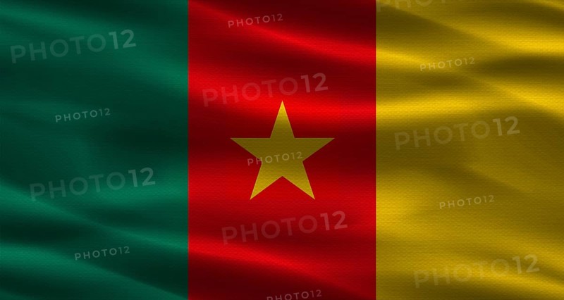 Cameroon flag with fabric texture. Realistic flag of Cameroon waving
