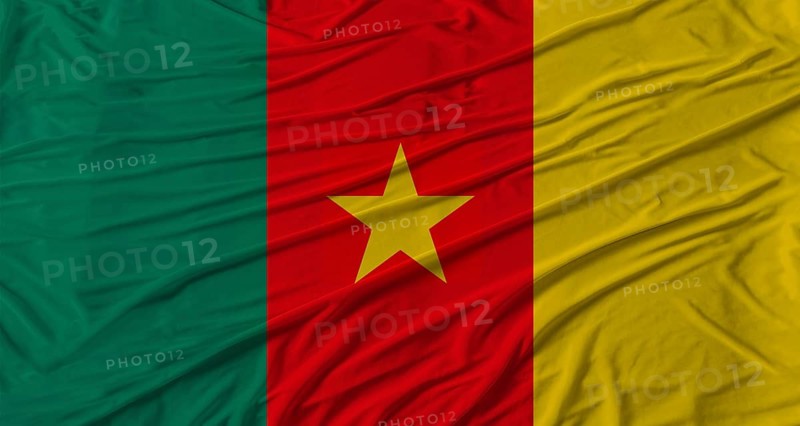 Cameroonian flag waving. Flag of Cameroon with cloth texture