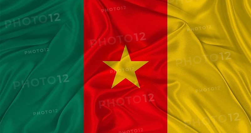 Flag of Cameroon with cloth texture. Close up of Cameroon flag waving