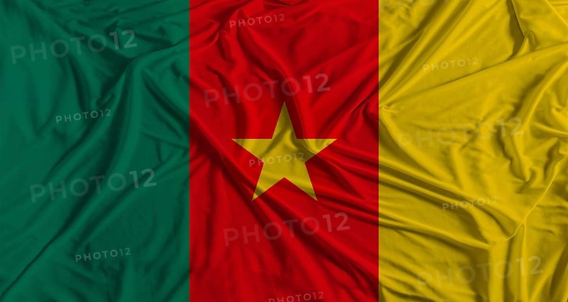 Cameroonian flag with fabric texture background. National flag of Cameroon