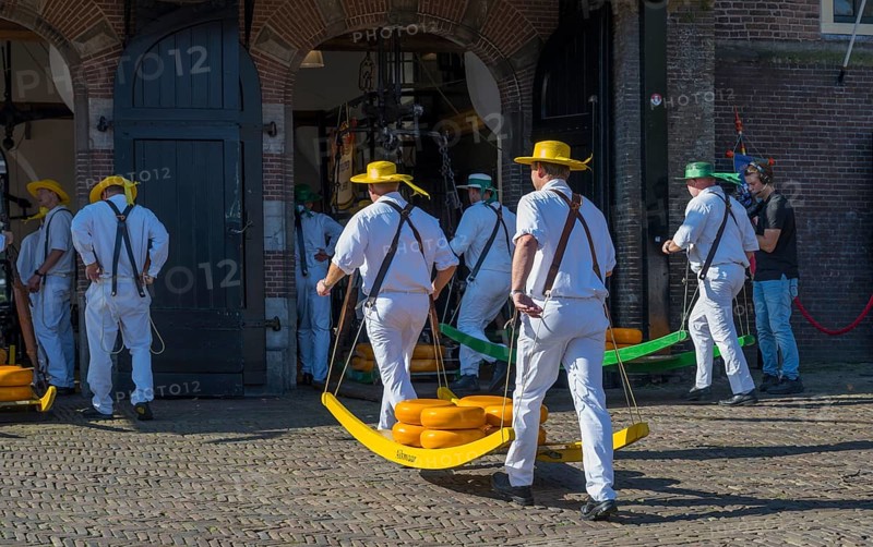 Männer in weißer Kleidung transportieren Käse auf einem Markt zur ehemaligen Stadtwaage, Käseträger, Käse, Käsemarkt, Alkmaar, Alkmar, Noord-Holland, Nordholland, Niederlande