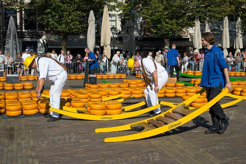 Männer mit Käse stehen auf einem sonnigen Platz umringt von Käse, Käseträger, Käse, Käsemarkt, Alkmaar, Alkmar, Noord-Holland, Nordholland, Niederlande