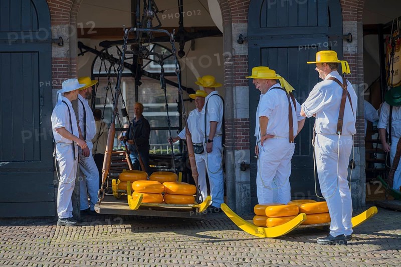 Männer mit gelben Hüten und weißer Kleidung tragen Käse auf einem Tragegestell zur ehemaligen Stadtwaage, Käse wiegen, Käseträger, Käse, Käsemarkt, Alkmaar, Alkmar, Noord-Holland, Nordholland, Niederlande