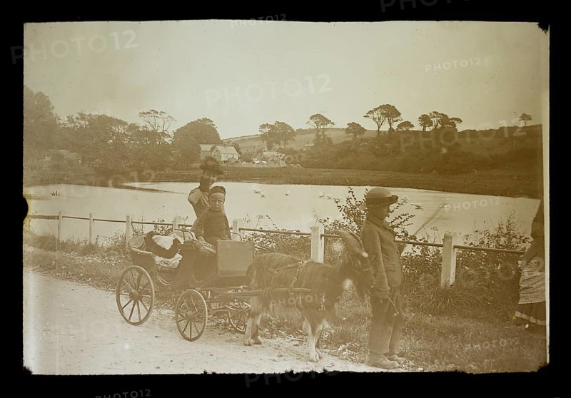 Magic lantern slide c 1900-1910 of children with a cart pulled along by a goat