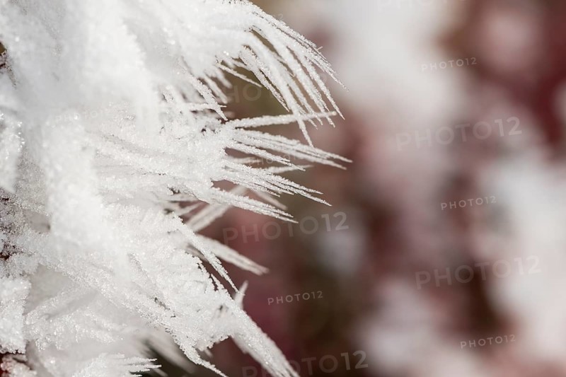 Ice crystals from roarfrost in winter, Bavaria, Germany
