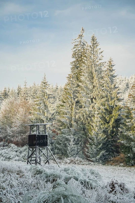 Hunting pulpit on a meadow in a valley surrounded by a mixed forest with norway spruce (Picea abies) and European beech (Fagus sylvatica) white from roarfrost, on a sunny day in winter, Bavaria, Germany