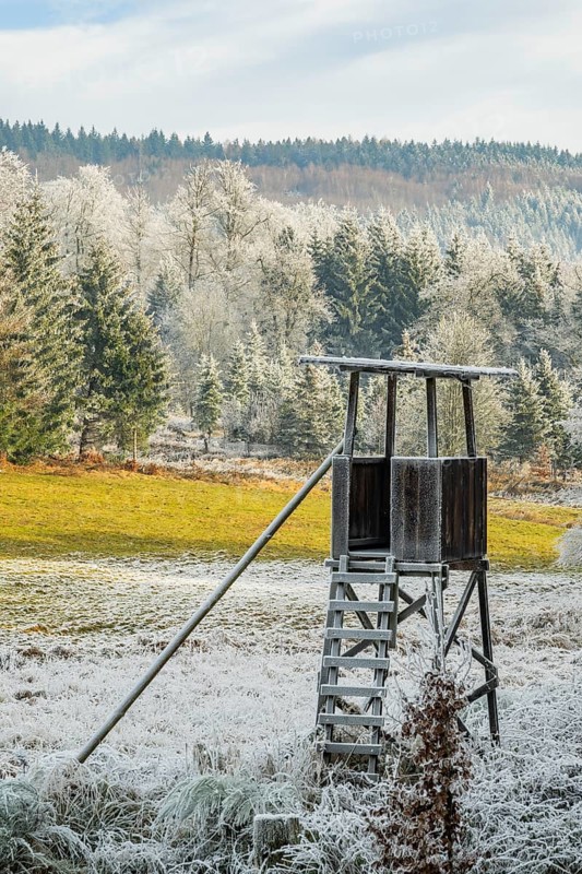 Hunting pulpit on a meadow in a valley surrounded by a mixed forest with norway spruce (Picea abies) and European beech (Fagus sylvatica) white from roarfrost, on a sunny day in winter, Bavaria, Germany
