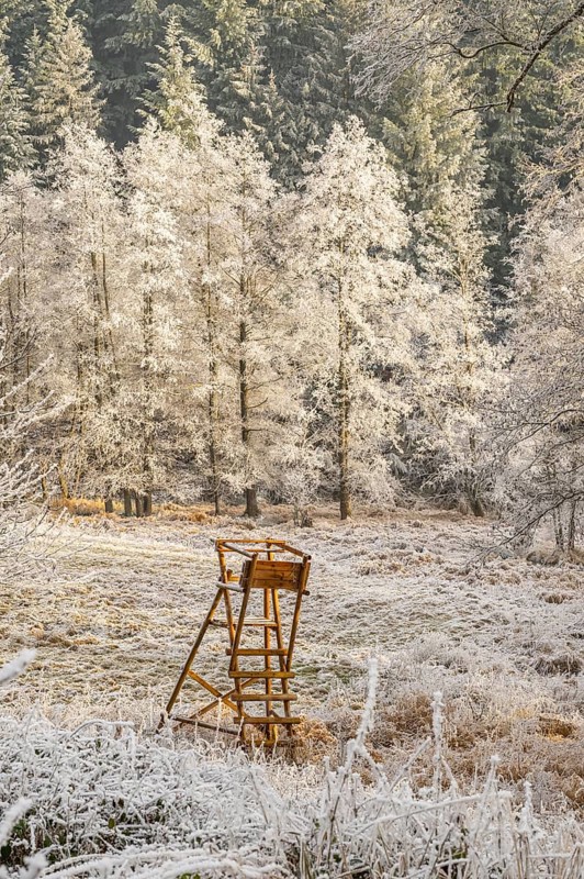 Hunting pulpit in a valley white from roarfrost on a sunny day in winter, Bavaria, Germany