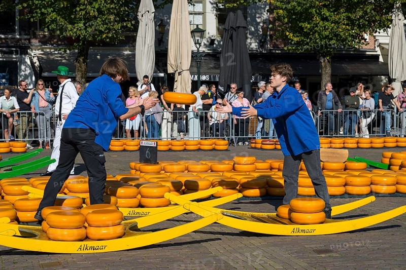 Two men in blue clothing hand over traditional cheese wheels at the Alkmaar cheese market, Cheese, Cheese market, Alkmaar, Alkmar, Noord-Holland, North Holland, Netherlands