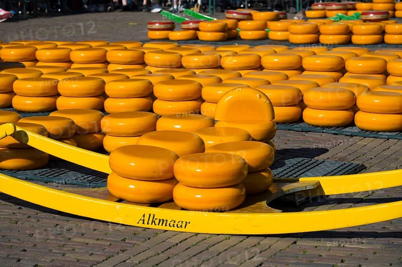 Stack of yellow cheese wheels on a market square in Alkmaar in sunny weather, cheese, cheese market, Alkmaar, Alkmar, Noord-Holland, Noord-Holland, Netherlands