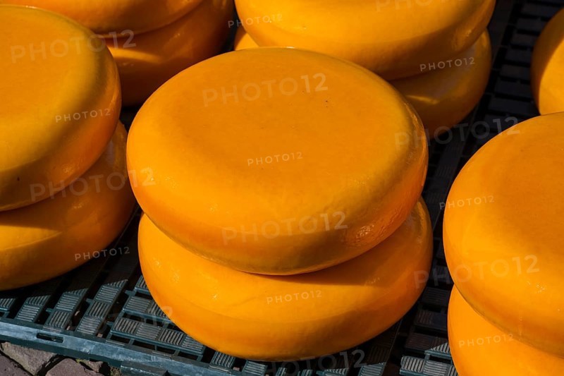 Close-up of shiny yellow cheese wheels stacked in the sun, Cheese, Cheese market, Alkmaar, Alkmar, Noord-Holland, North Holland, Netherlands