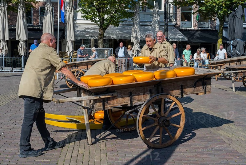 Men in uniforms transporting large wheels of cheese on a wooden cart on a market square, cheese, cheese market, Alkmaar, Alkmar, Noord-Holland, Noord-Holland, Netherlands