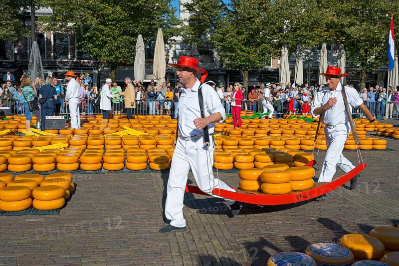 Men in traditional costumes transporting cheese at a market, cheese carrier, cheese, cheese market, Alkmaar, Alkmar, Noord-Holland, North Holland, Netherlands